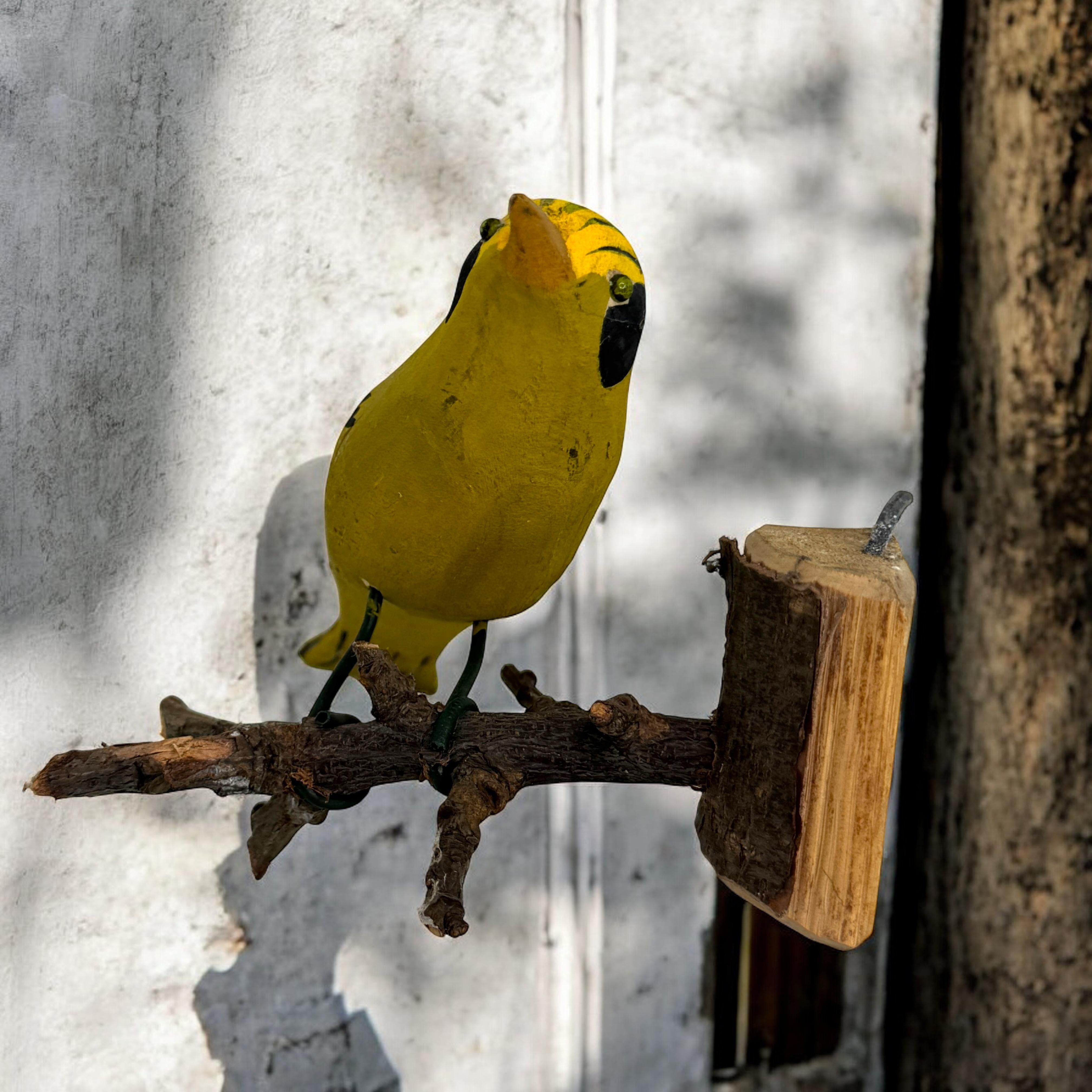 Oriole Vichtauer Pájaro de madera tallada a mano Arte popular de la Selva Negra, Austria, década de 1910 principios del siglo XX en venta