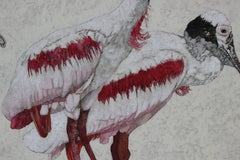 Roseata Spoonbill Painting