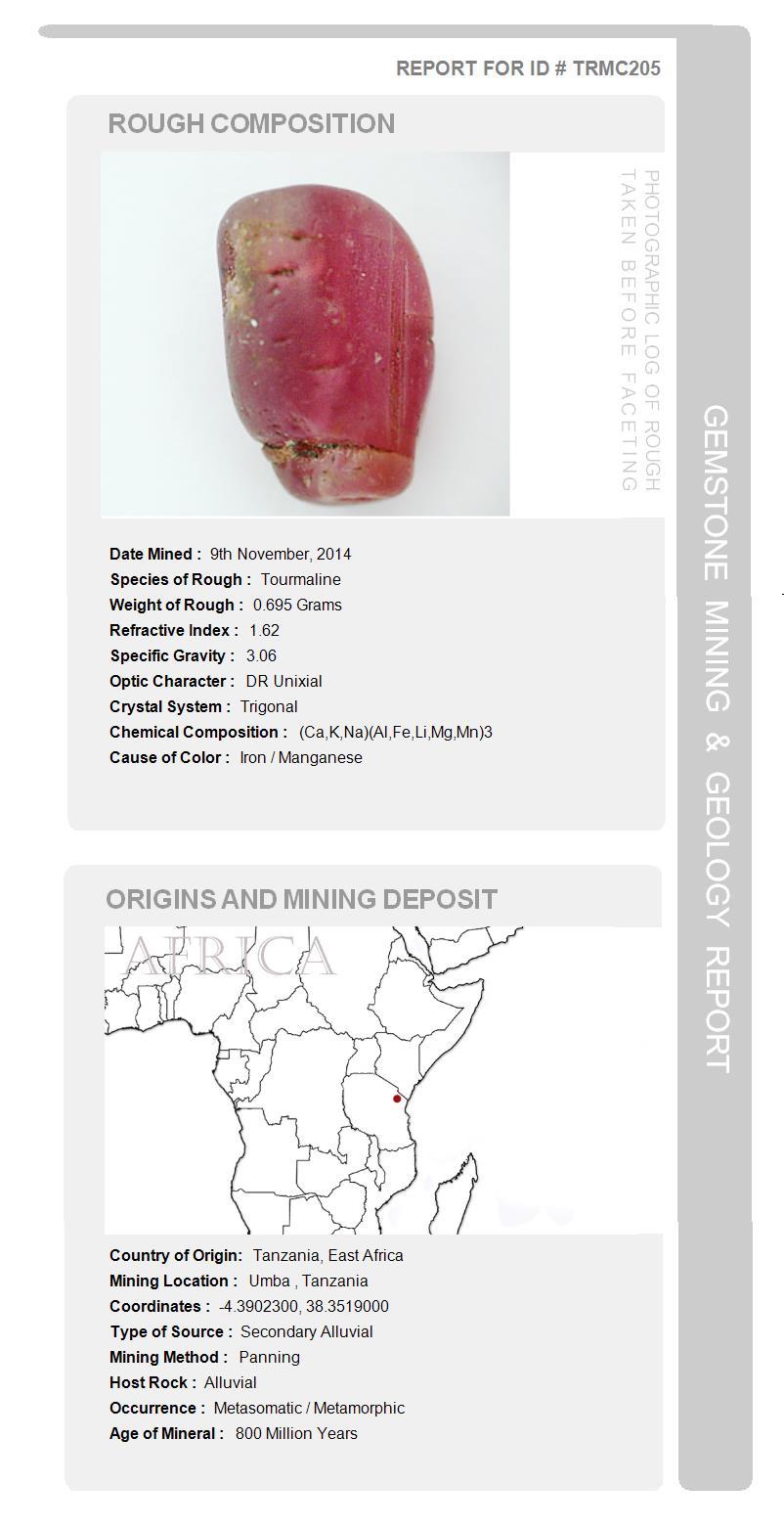 Orloff of Denmark, GIA - 1.00 ct Vivid Pink Tourmaline Ring set in 950 Platinum For Sale 1