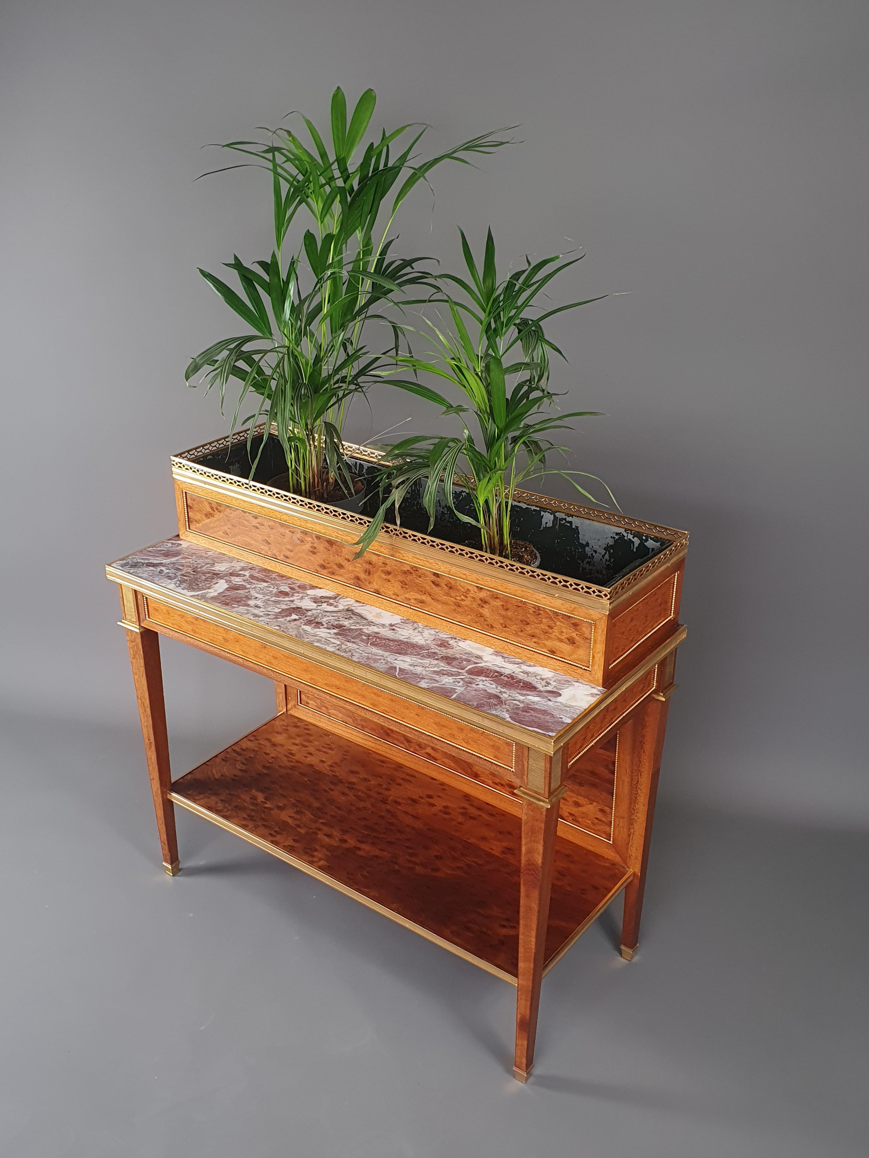 Interesting Louis XVI style planter in speckled mahogany veneer and gilded brass and bronze ornamentation.

Large zinc bench in the upper part and violet marble top in the front to present a floral composition on two levels.

All sides finish