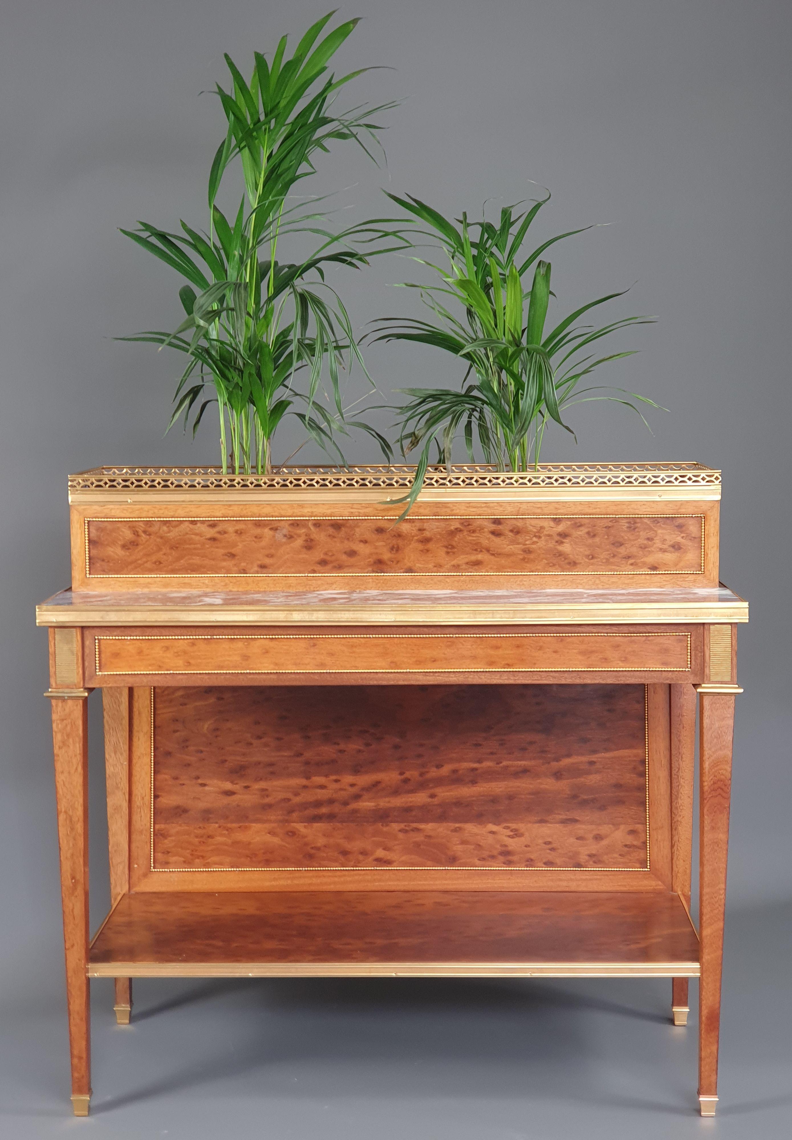 Ormolu Louis XVI Planter in Mahogany and Marble In Good Condition For Sale In BARSAC, FR