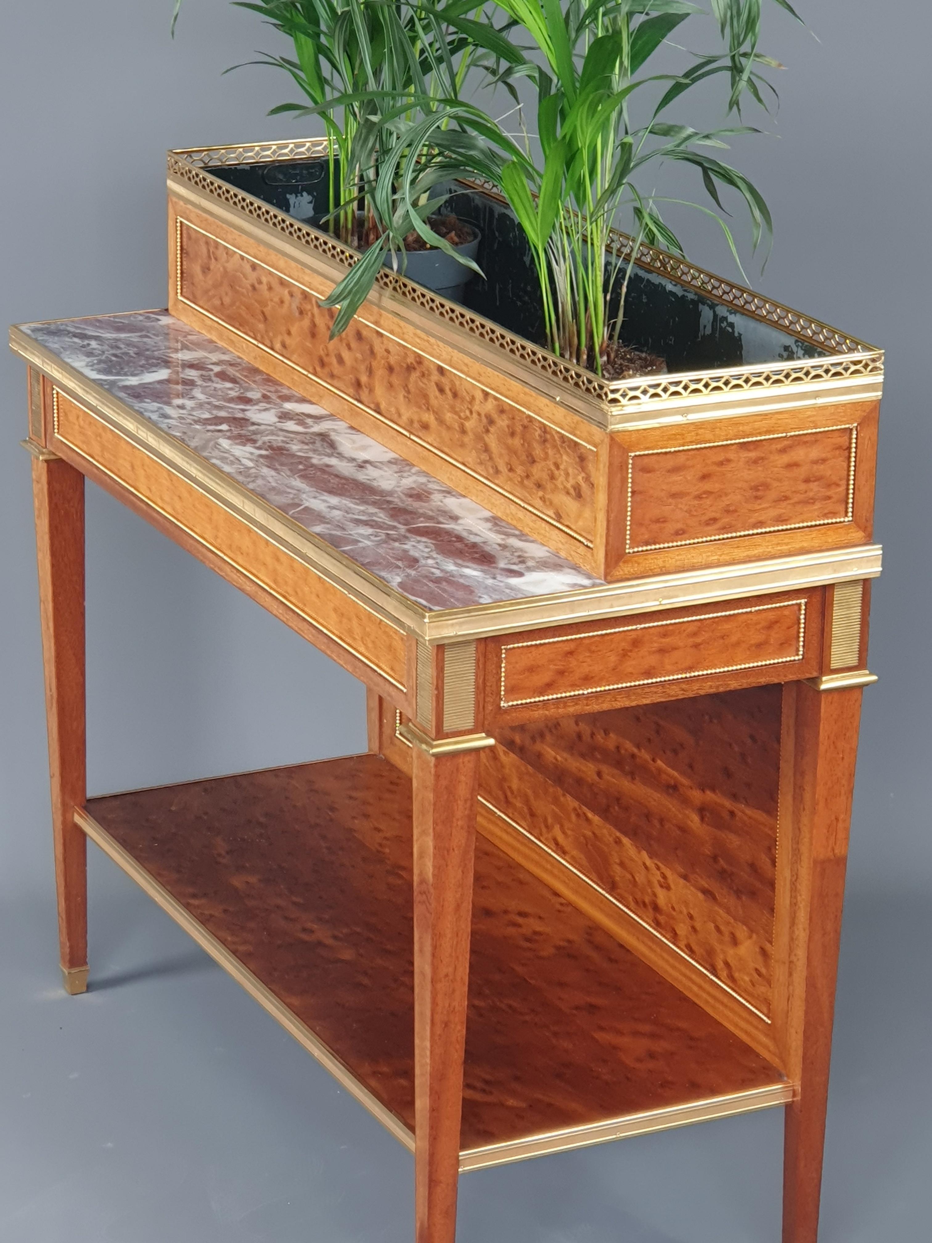 Ormolu Louis XVI Planter in Mahogany and Marble For Sale 2