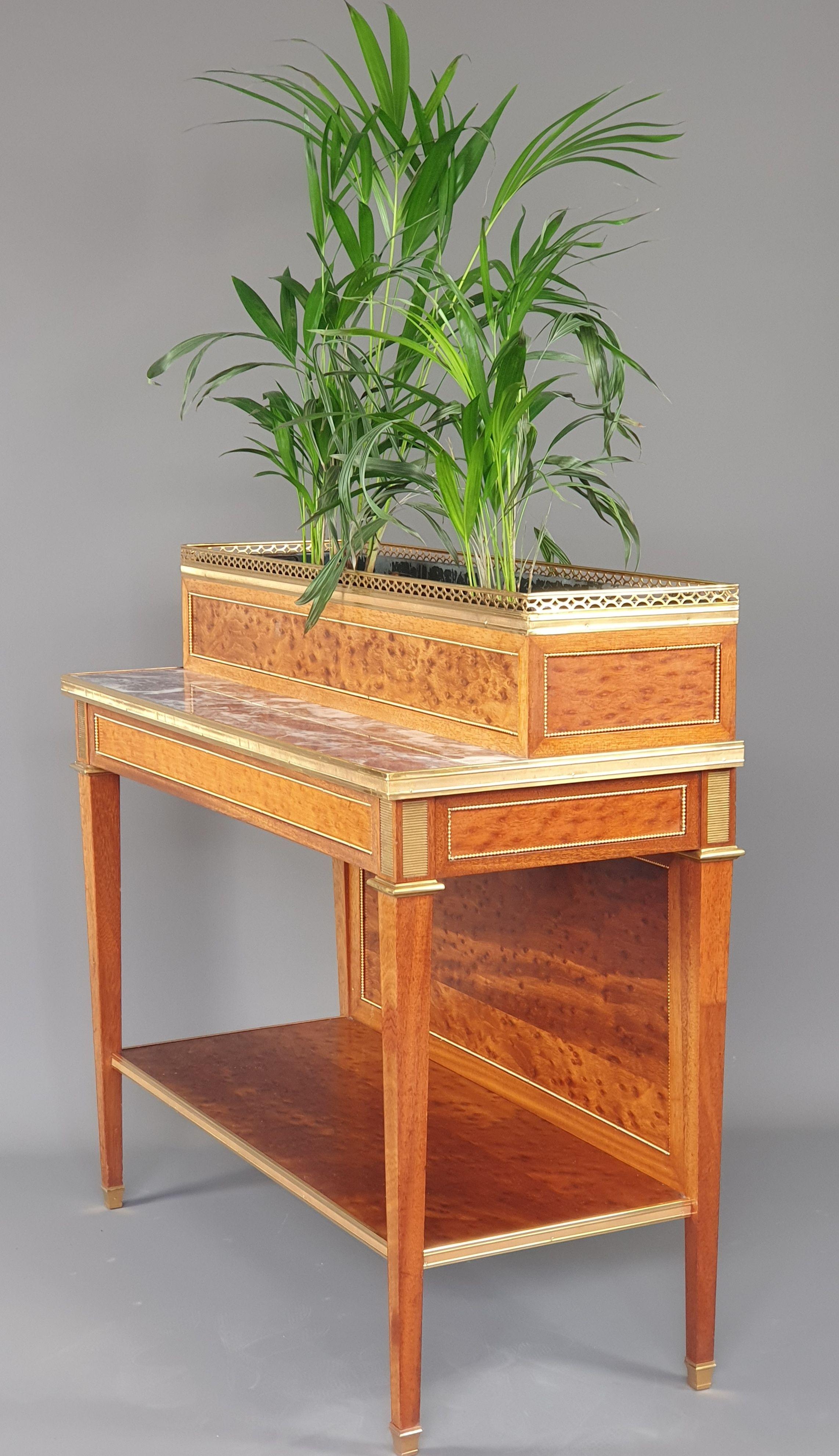 Ormolu Louis XVI Planter in Mahogany and Marble For Sale 4
