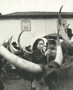 Girl with Oxen, Portugal