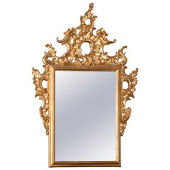 Antique Ornamental Mirror, 19th Century