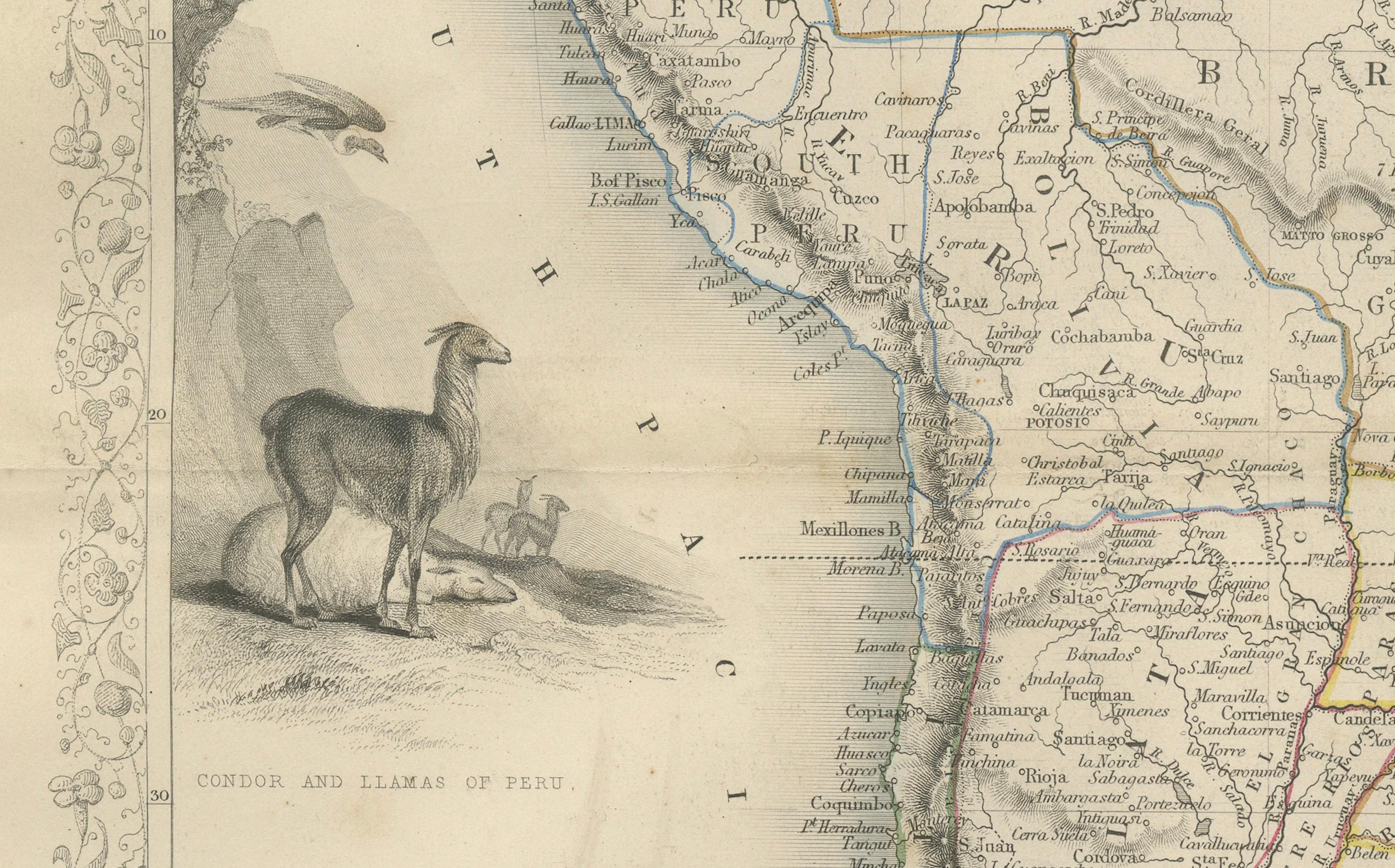 Ornate 1850s Map of South America: A Masterpiece of Exploration & Art by Rapkin In Good Condition For Sale In Langweer, NL