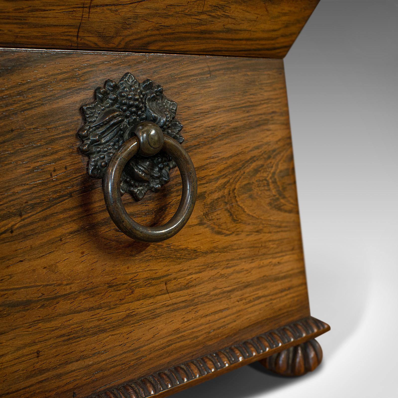 Ornate Antique Tea Caddy, English, Rosewood, Sarcophagus, Chest, Regency 3