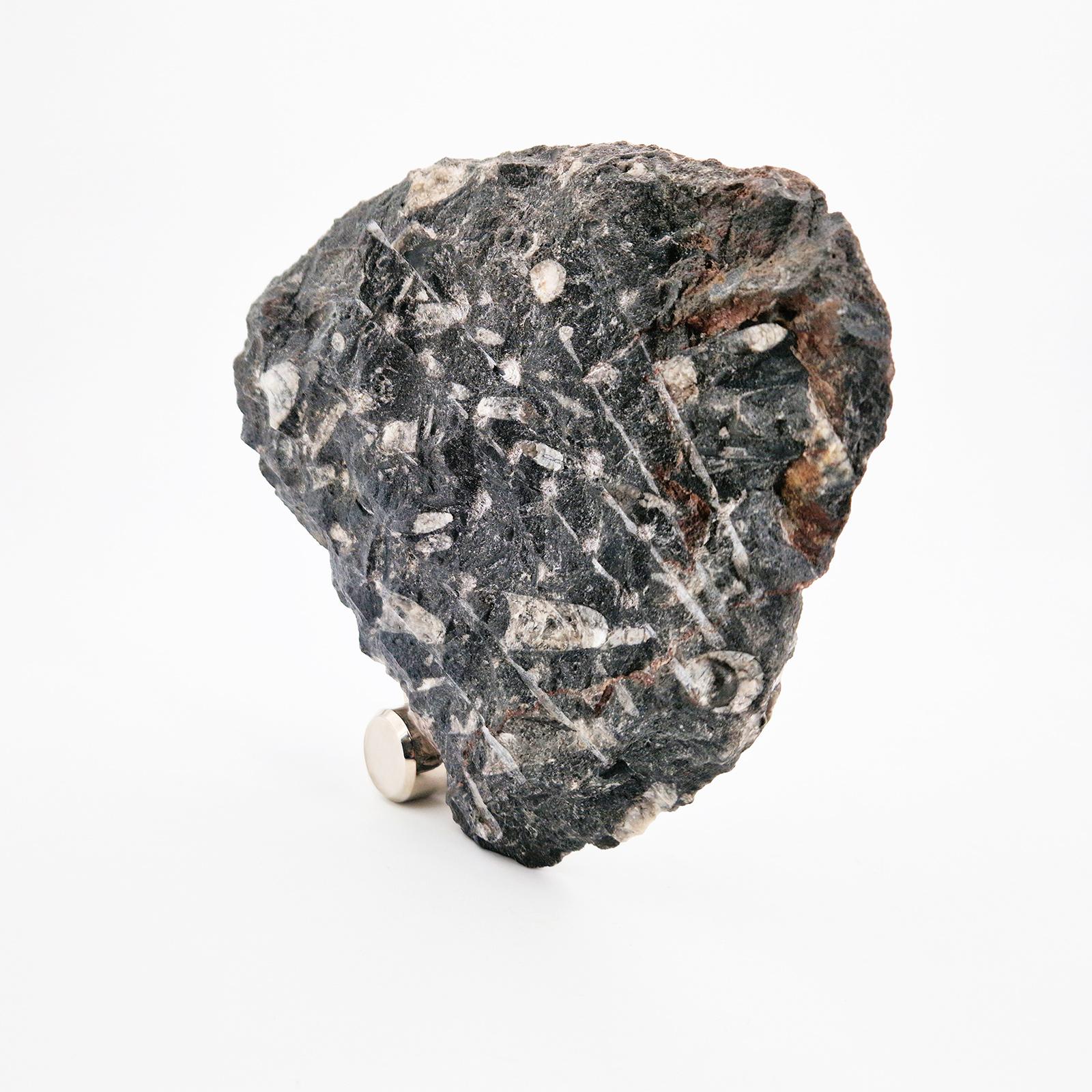 Italian OROLOGIO DA TAVOLO NAUTILO - PEZZO UNICO - con  ammoniti authentiche su roccia  en vente