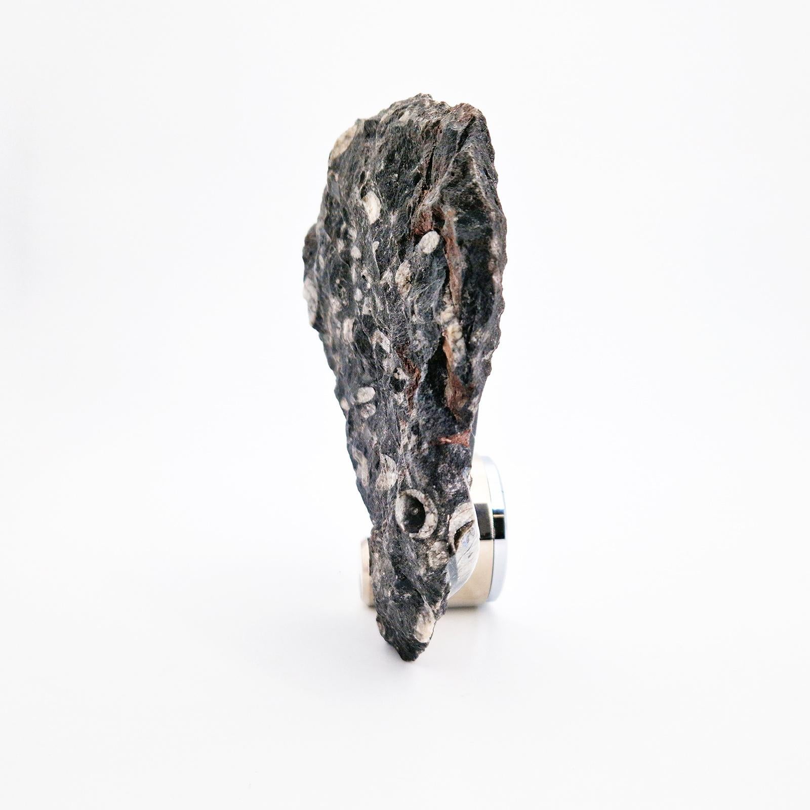 Hand-Crafted OROLOGIO DA TAVOLO NAUTILO - PEZZO UNICO - con  ammoniti autentiche su roccia  For Sale