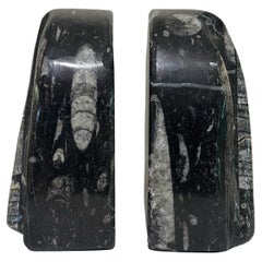 Orthoceras and Black Marble Bookends