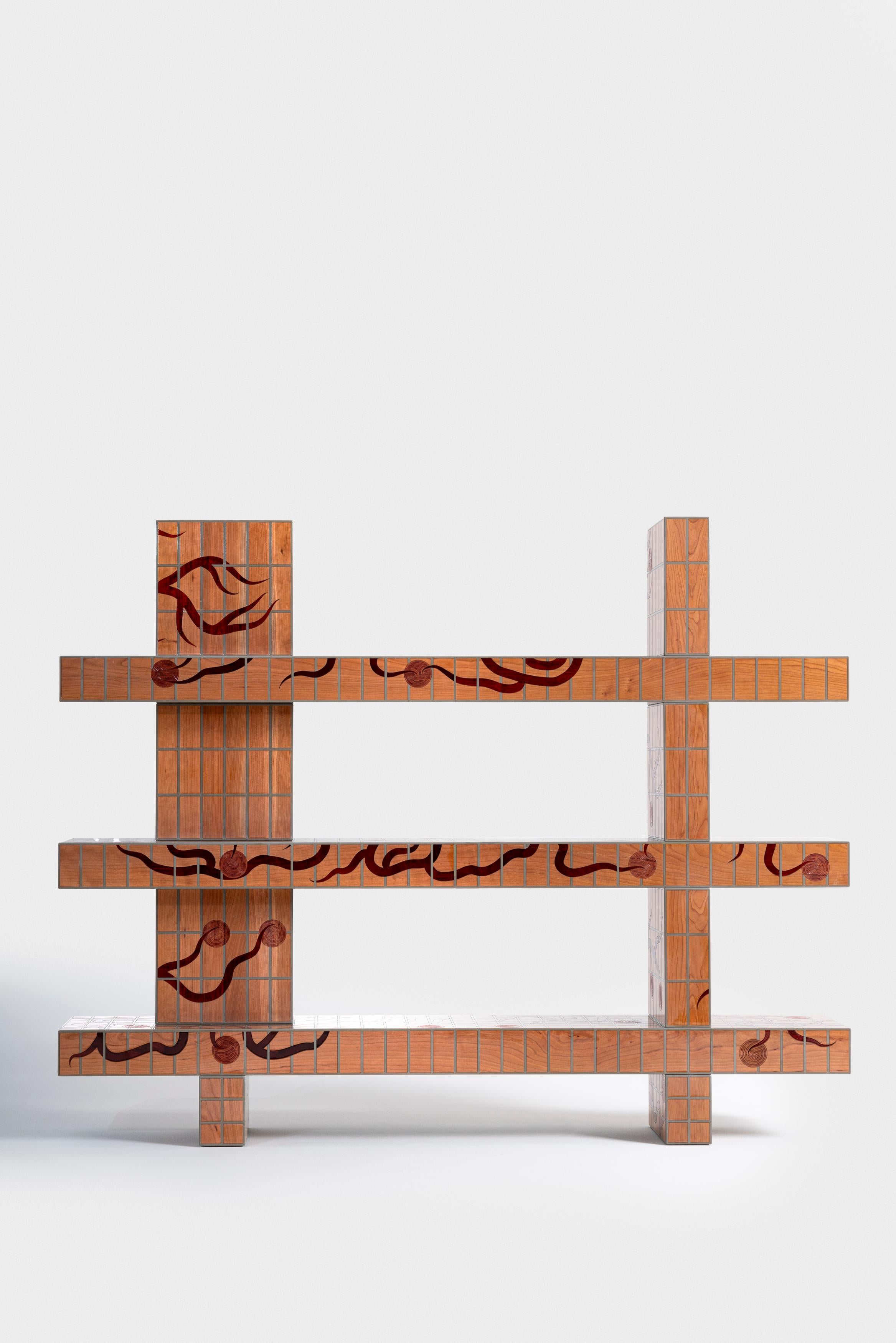 European Orvalho Bookshelf in inlaid cherry lacquered wood with pattern by Laurids Gallée For Sale