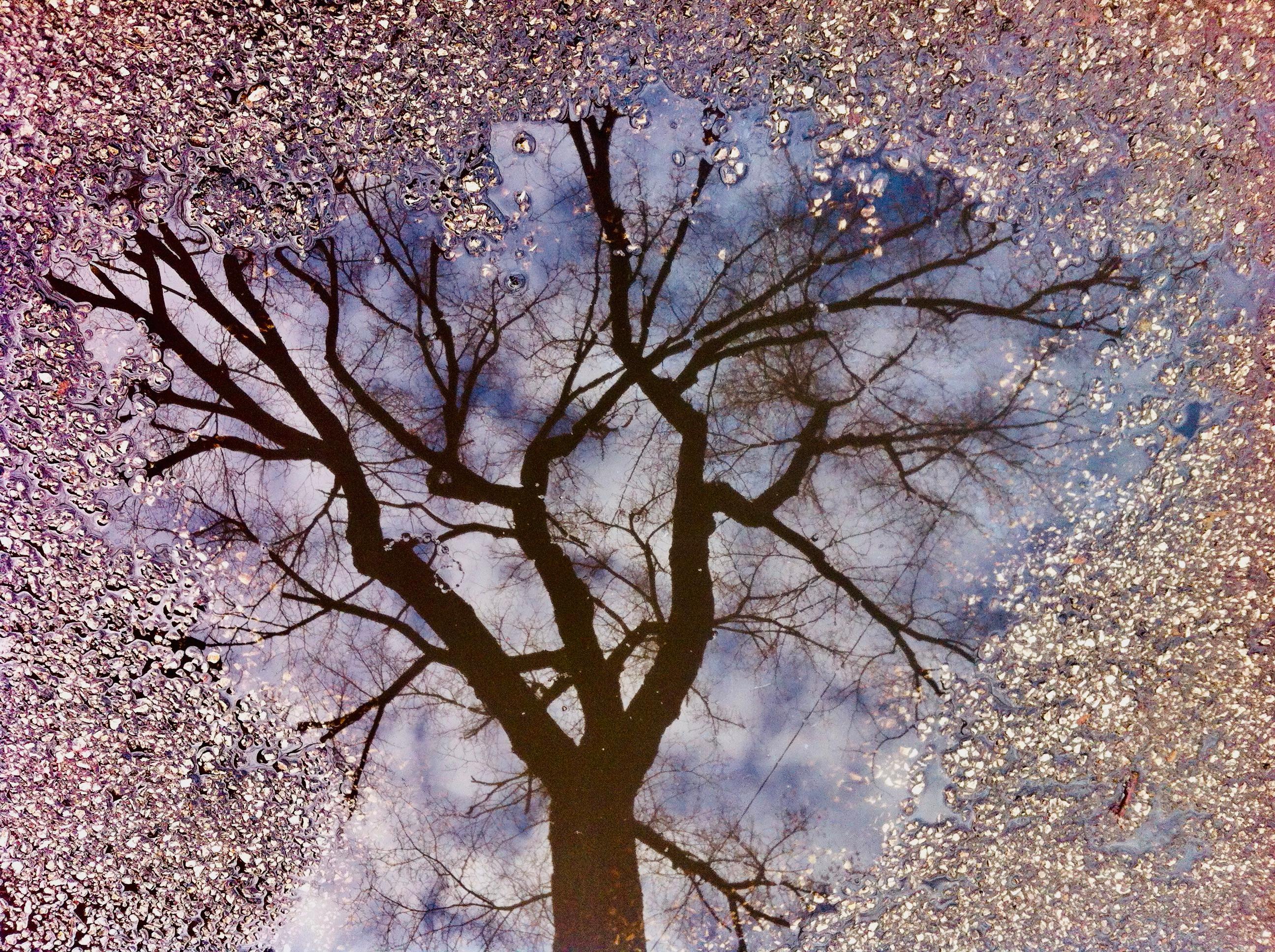 Alternative Roads par Osama Esber - Photographie contemporaine