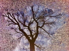 Alternative Roads par Osama Esber - Photographie contemporaine