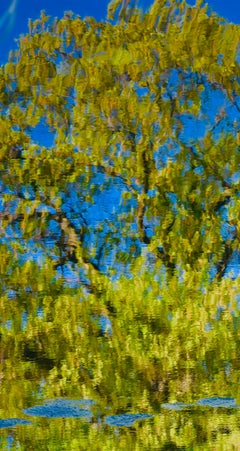 El pincel de los reflejos de Osama Esber - Fotografía contemporánea