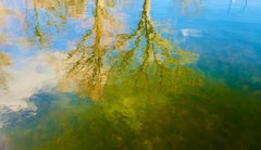 Los espejos del jardín de Osama Esber - Fotografía contemporánea