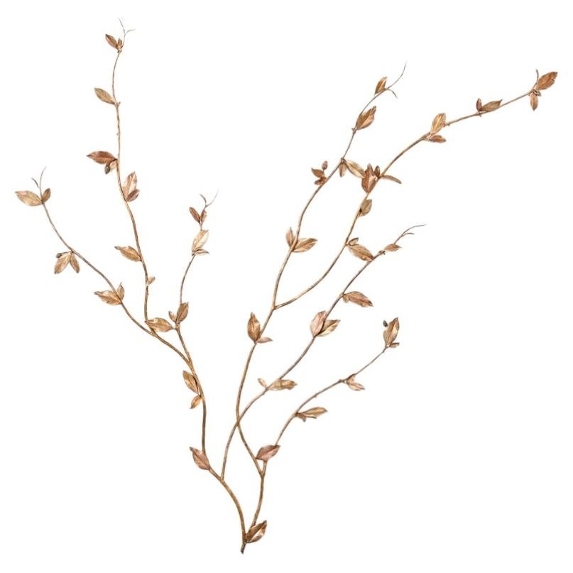 Osanna Visconti di Modrone, Magnolia, Wall Light Sculpture, Italy, 2026