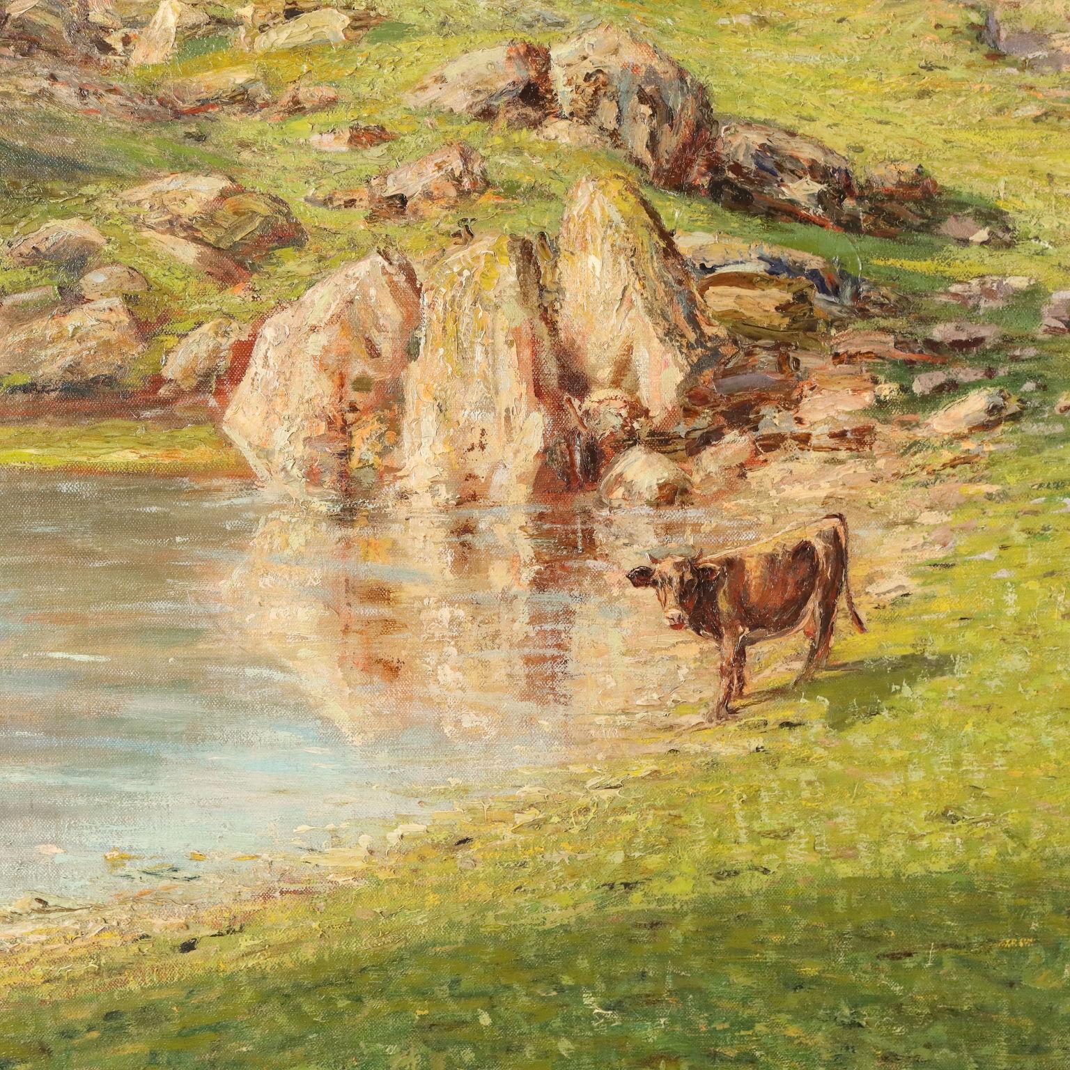 Olio su tela. Firmato in basso a destra. Sulla cornice etichetta con il nome e le date di nascita e morte dell'artista, del quale non si hanno ulteriori notizie biografiche.
Il dipinto propone lo scorcio di una ampia vallata alpina, verdeggiante,
