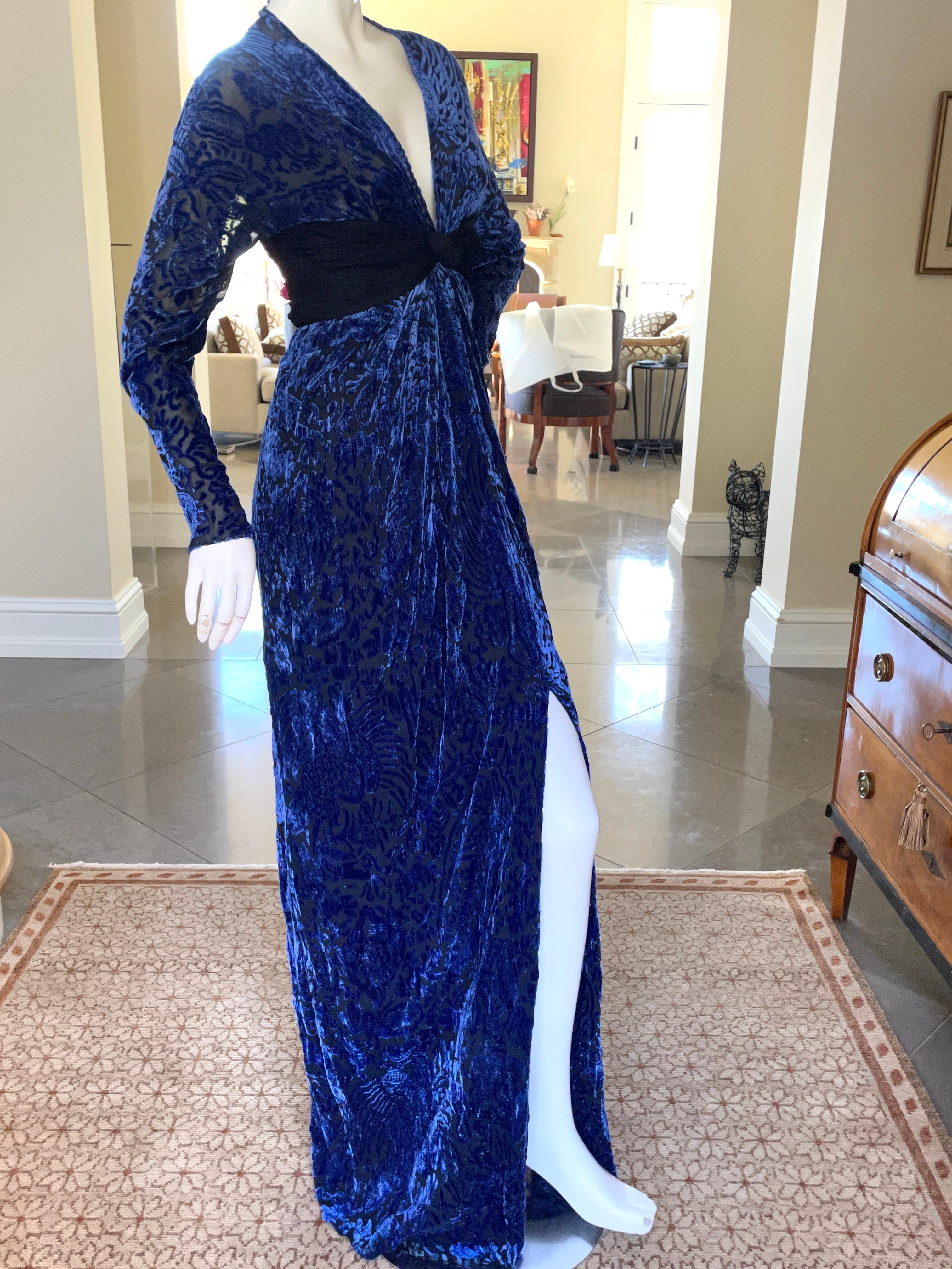 Oscar de la Renta Vintage 1970's Sheer Devore Velvet Plunging Evening Dress  For Sale 3