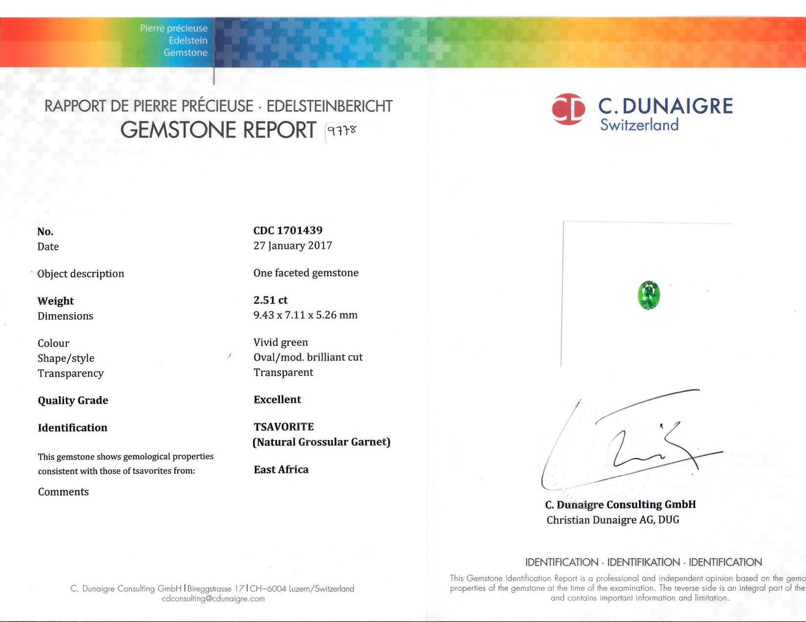 Il ciondolo in platino Oscar Heyman contiene una Tsavorite dell'Africa orientale verde brillante da 2,51 carati circondata da 16 baguette affusolate (2,40 carati, qualità F-G/VS) che sono angolate in una cornice ovale. Inoltre ha una baguette