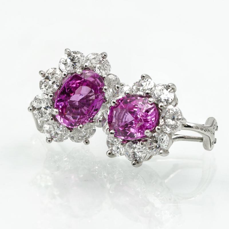 Oscar Heyman Rosa Saphir 6,74 Karat Platin Diamant TW 3,77 Karat Ohrringe (Ovalschliff)