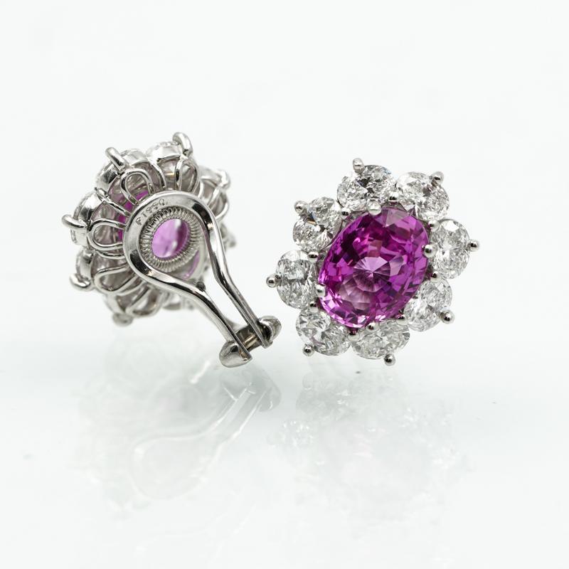 Oscar Heyman Rosa Saphir 6,74 Karat Platin Diamant TW 3,77 Karat Ohrringe im Zustand „Neu“ in Carmel, IN
