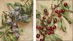 Paire d'études sur les branches de cerisier et de prunier