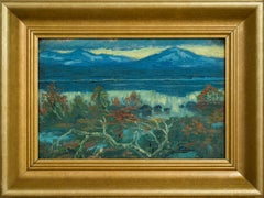 Paisaje montañoso con lago