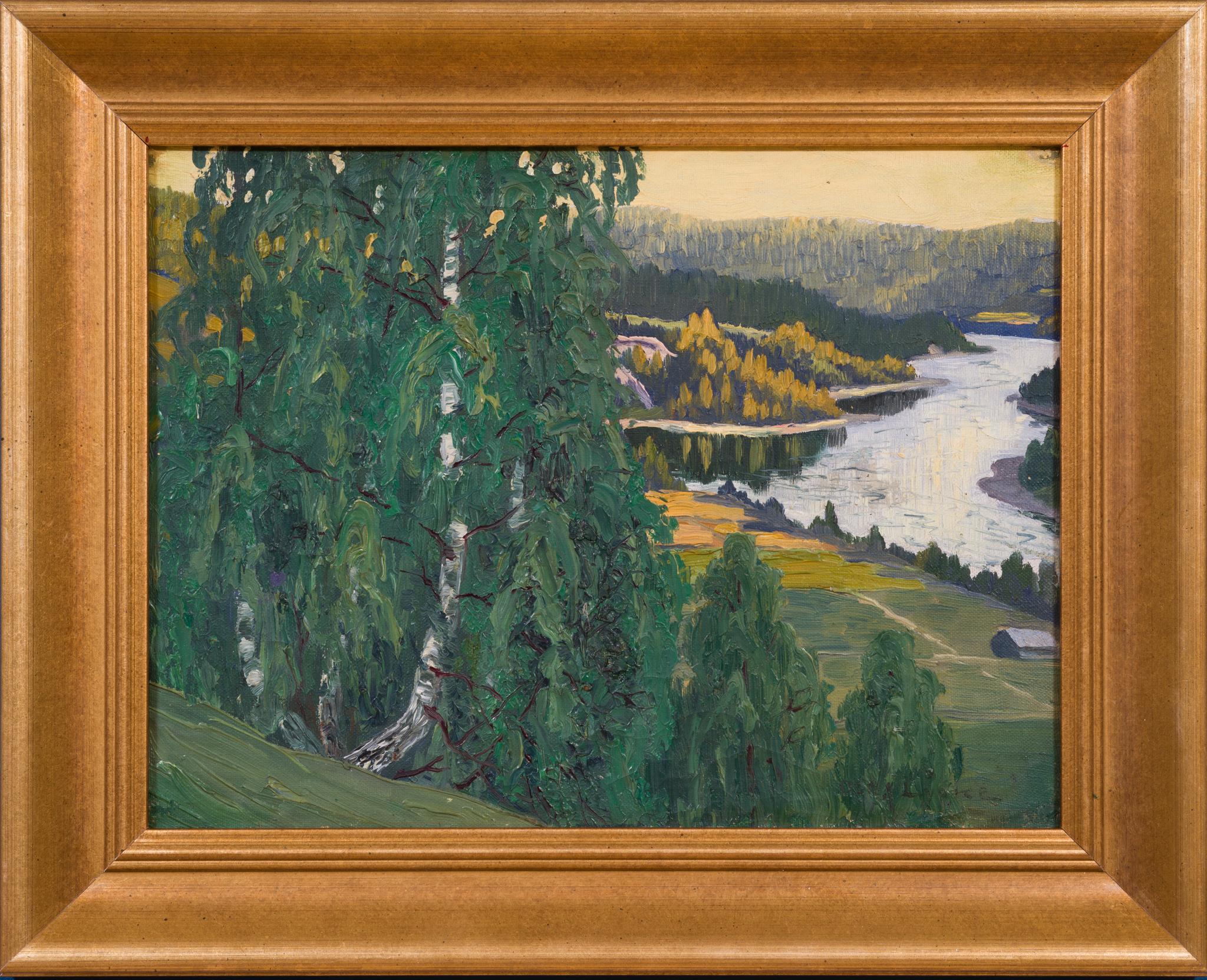 Northern Valley View – Light, Stillness and Depth in the Swedish North For Sale 1