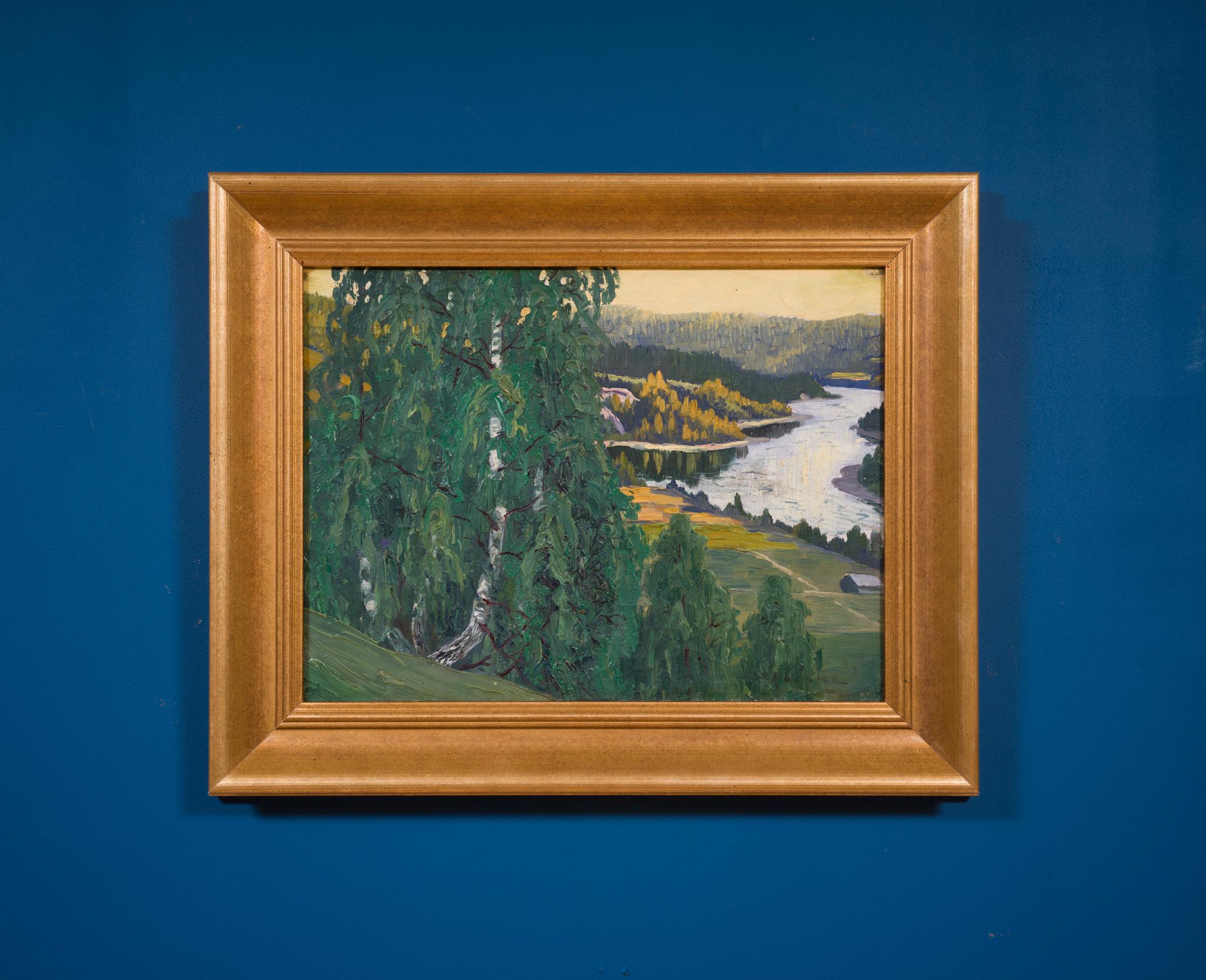 Northern Valley View – Light, Stillness and Depth in the Swedish North For Sale 2