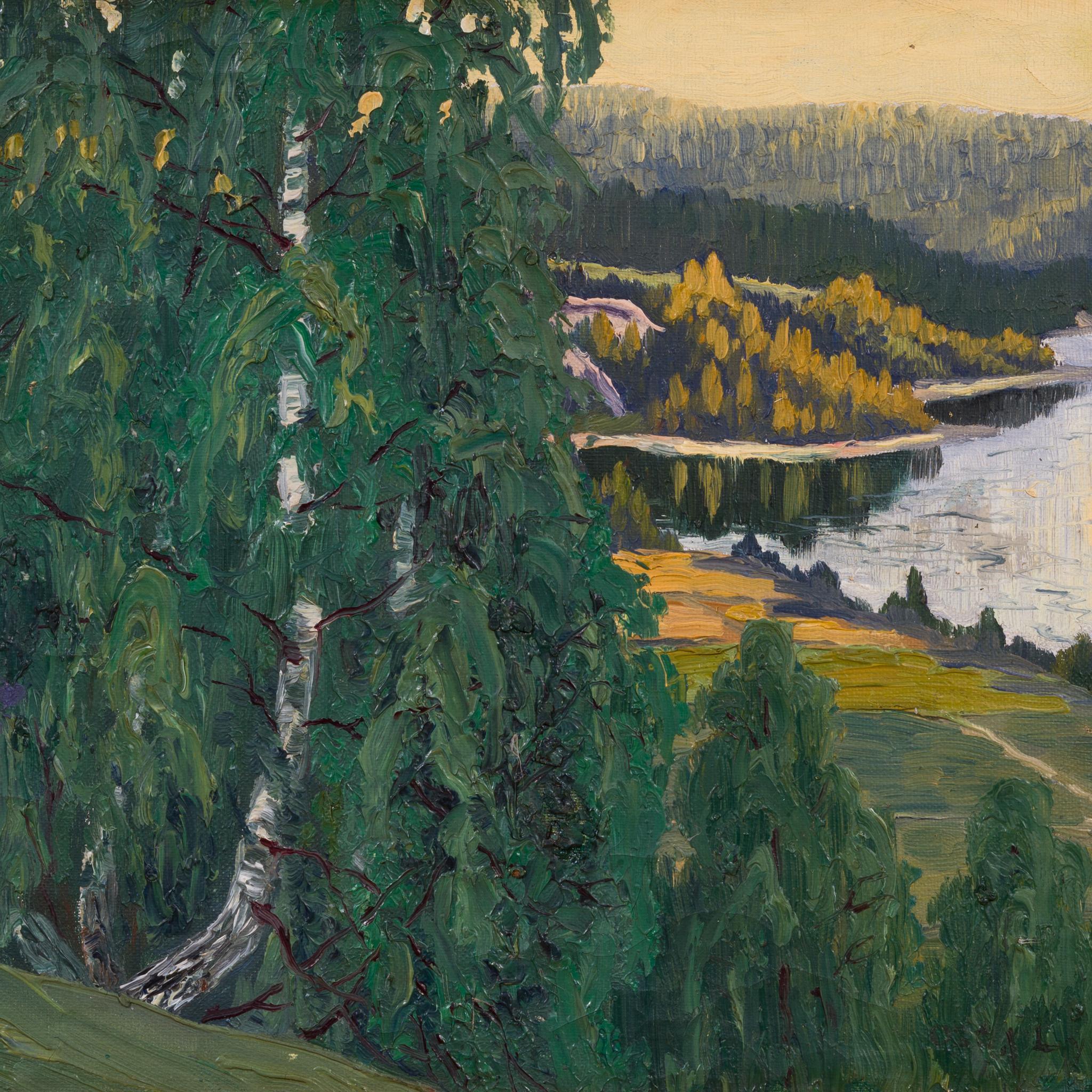 Northern Valley View – Light, Stillness and Depth in the Swedish North For Sale 3