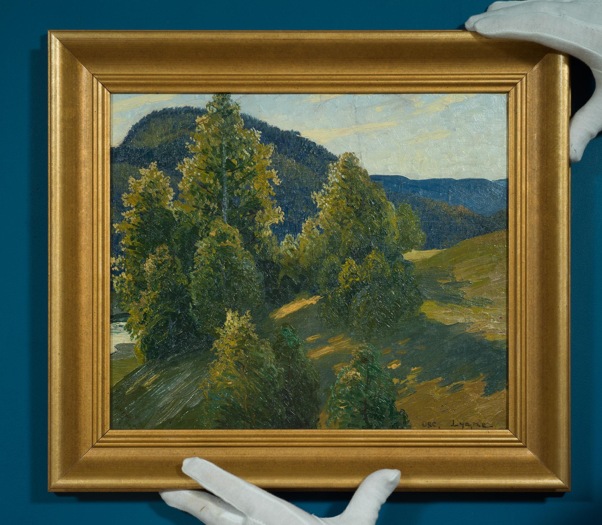 Foresta illuminata dal sole e montagne blu lontane: un paesaggio della Svezia settentrionale di Lycke in vendita 1