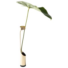 Oscar Vase by Decarvalho Atelier, Brazilian Contemporary Design