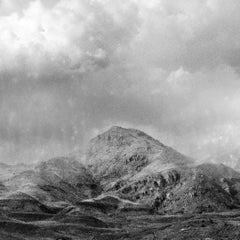 Black Garden, contemporary black and white landscape photo, silver gelatin print