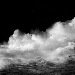 Black Garden, contemporary black and white landscape photo, silver gelatin print