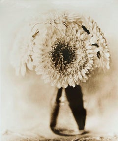 Daisies, still life photograph,rare contemporary black and white nature morte