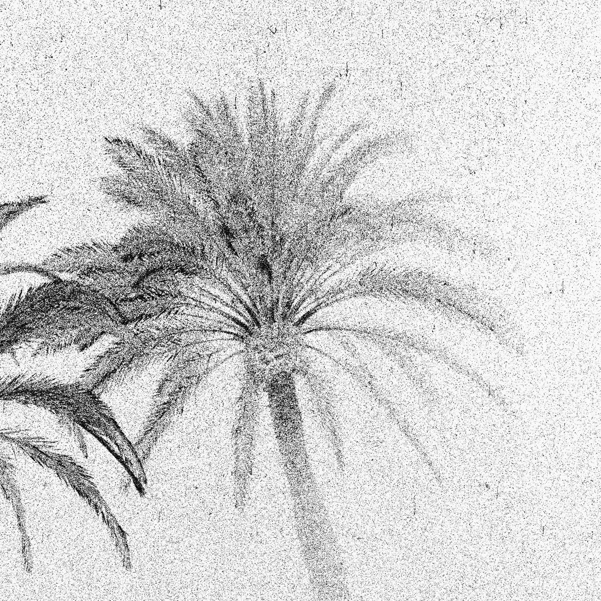 Evening Palms, Summer Showers, Barcelona - black and white photo, palms trees - Contemporary Photograph by Osheen Harruthoonyan