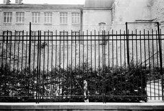 Girl Skipping, Paris, contemporary black and white photograph, documentary, rare