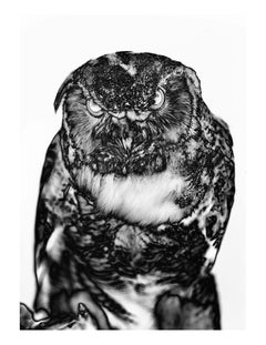 Black and White Photography