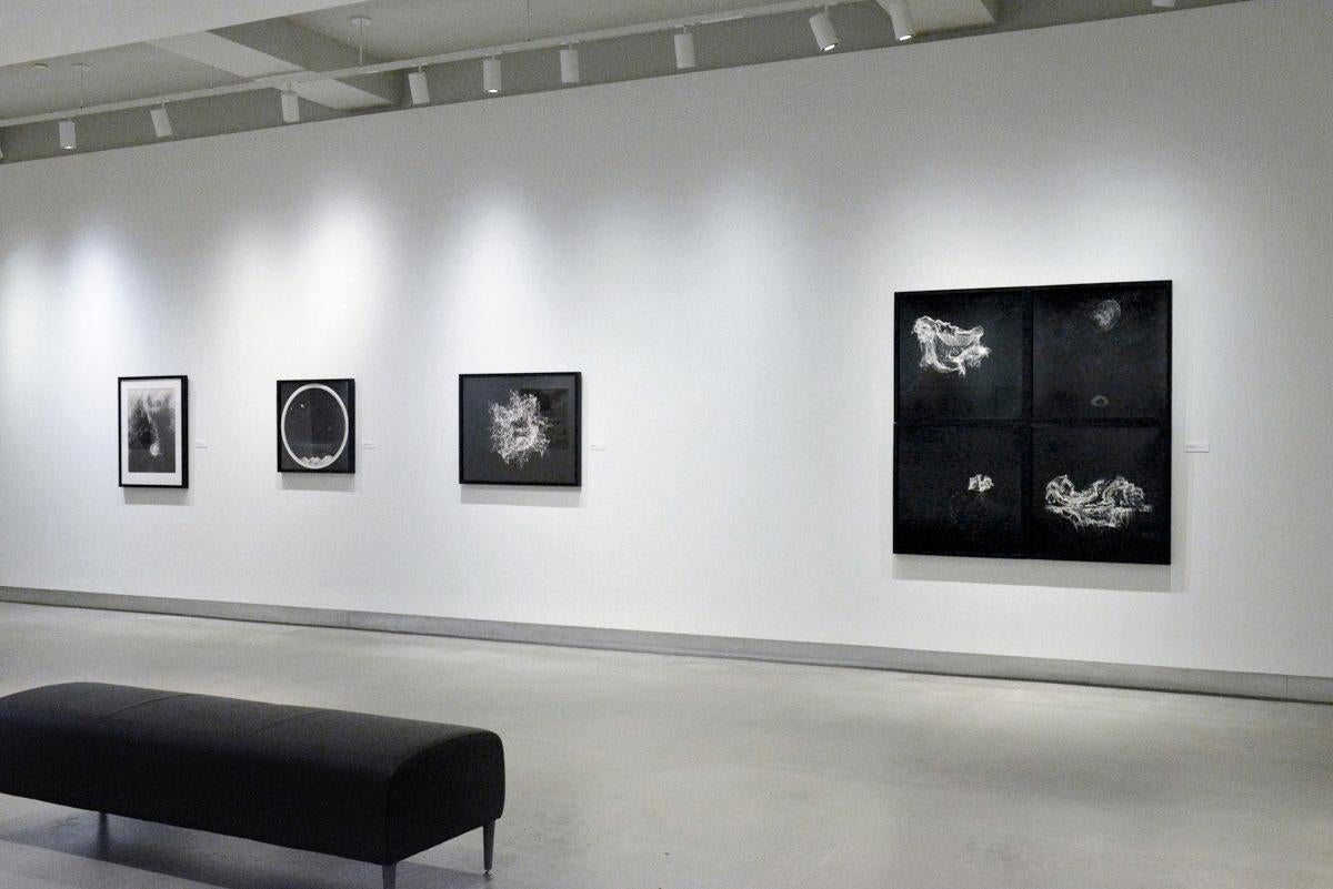 Morphogènesis, photographie contemporaine en noir et blanc, abstraite et surréaliste, rare en vente 1