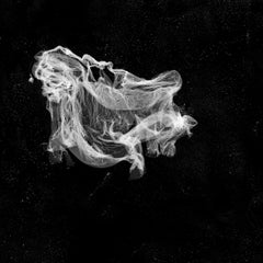 Morphogenesis, contemporary black and white, abstract, surreal photography, rare