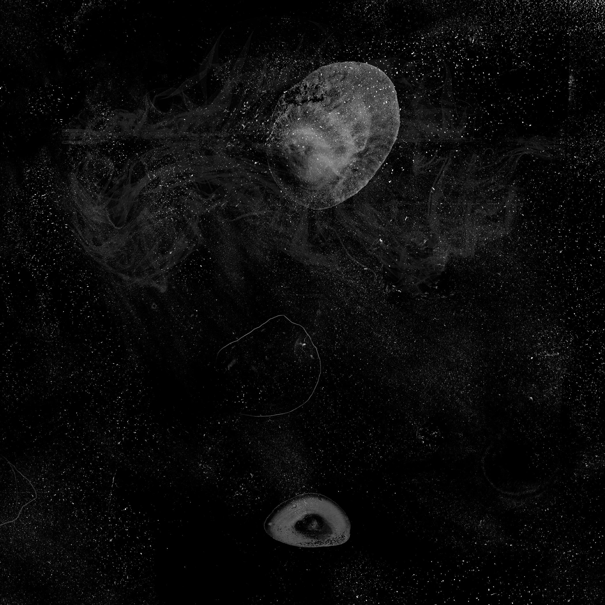 Morphogenesis, zeitgenössische Schwarz-Weiß-Fotografie, abstrakte, surreale Fotografie, selten (Abstrakt), Photograph, von Osheen Harruthoonyan