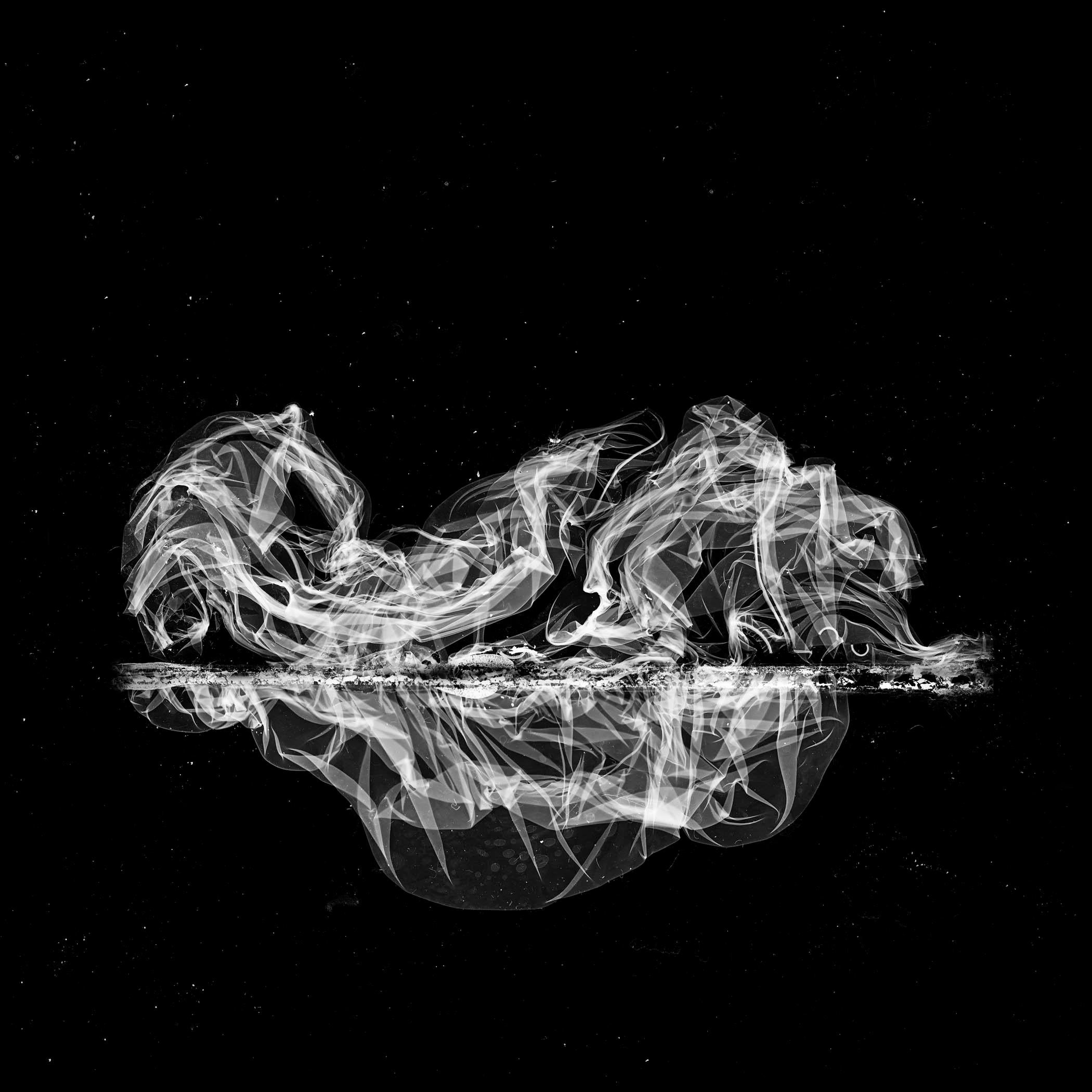 Osheen Harruthoonyan Morphogenesis, contemporary black and white, abstract, surreal