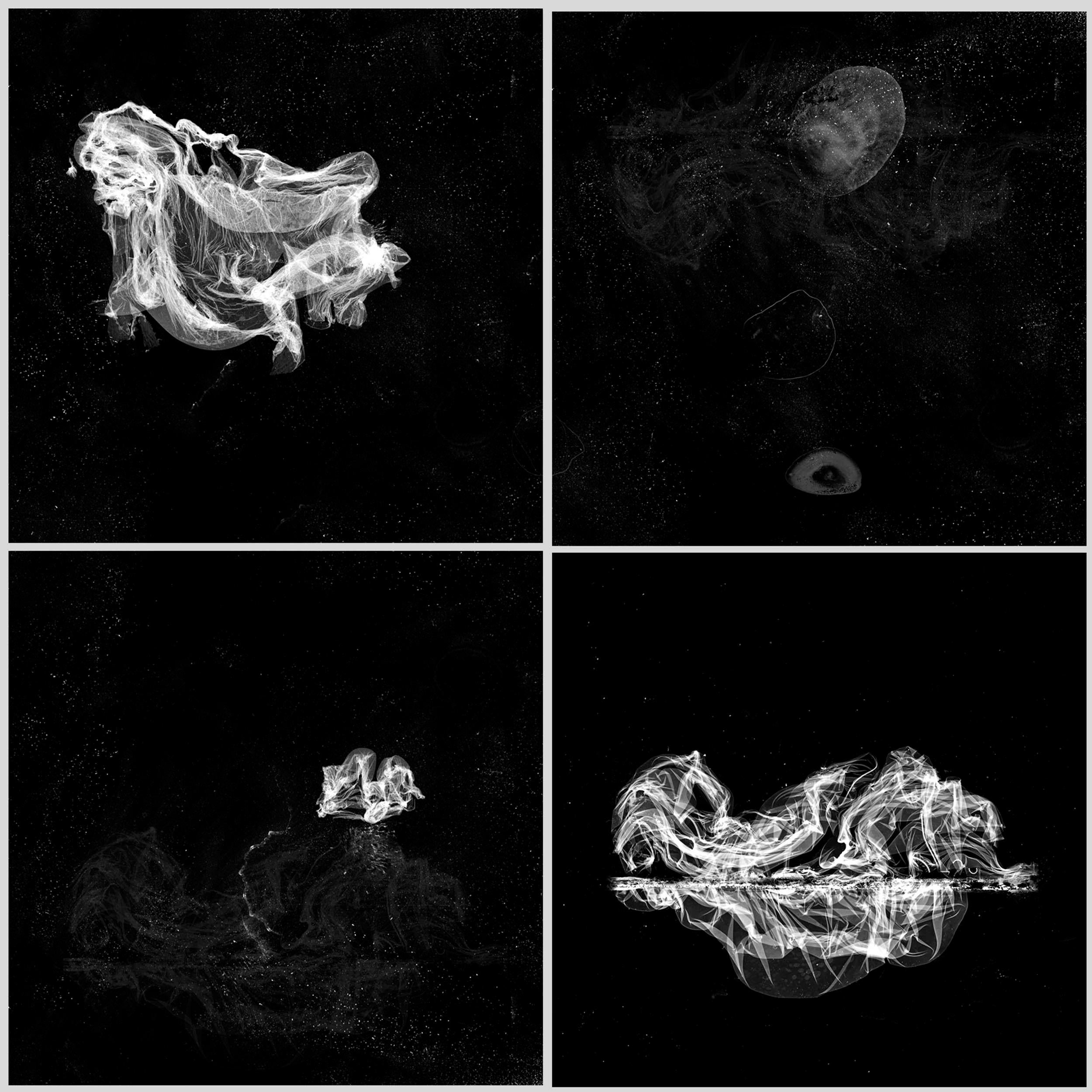 Osheen Harruthoonyan Abstract Photograph – Morphogenesis, zeitgenössische Schwarz-Weiß-Fotografie, abstrakte, surreale Fotografie, selten
