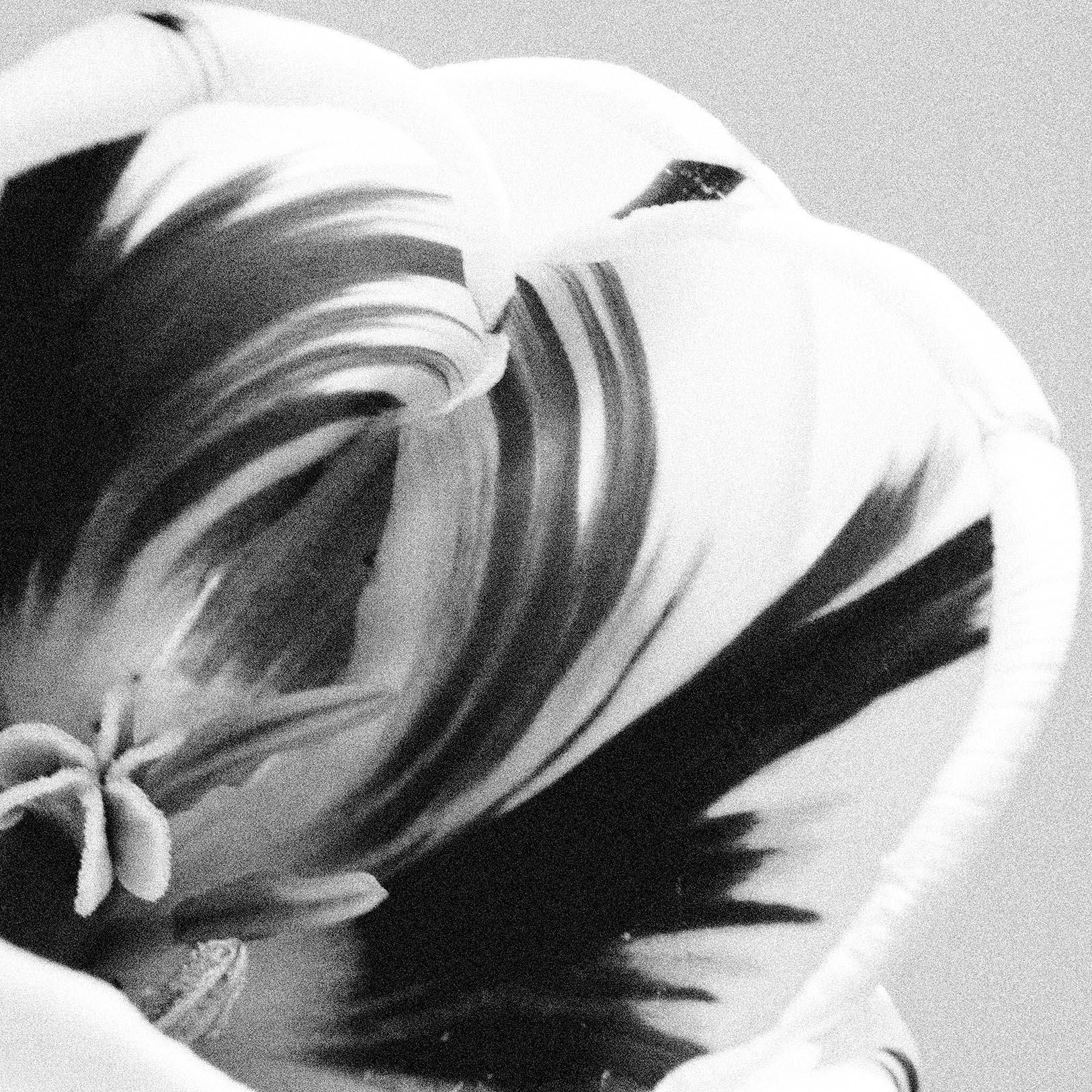 Osheen Harruthoonyan Summer Tulip, contemporary black and white