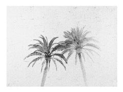 Three Palms-Black and white photo, gelatin silver triptych, palm trees, nature