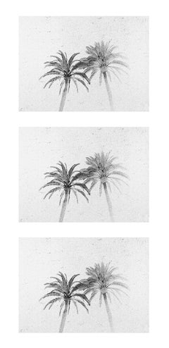 Three Palms-Black and white photo, gelatin silver print triptych of palm trees 