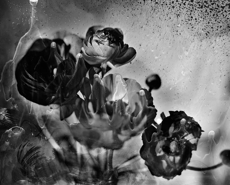 Osheen Harruthoonyan Untitled, Abstract contemporary black and white