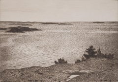 "Fjärden" (Paisaje Archipiélago Expansivo)