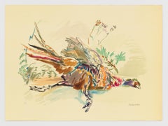 Pheasant