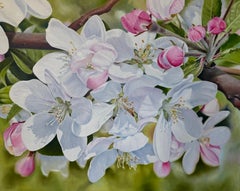 Apple blossom